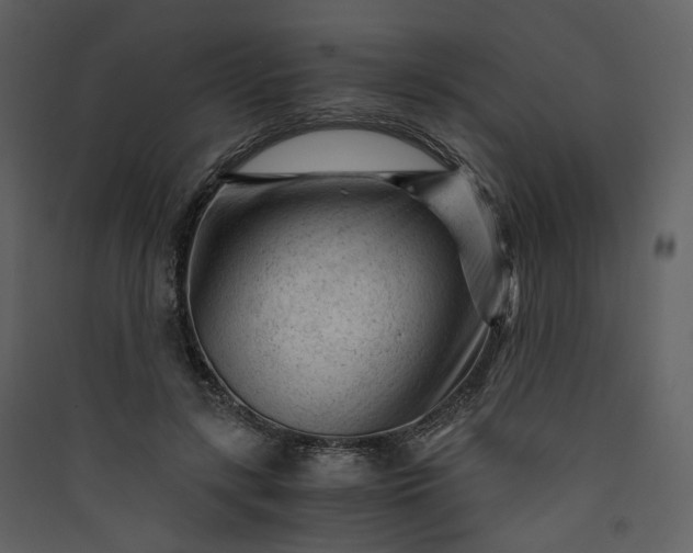 X0000089950547200707131518