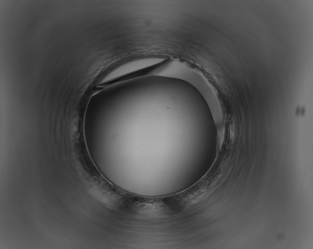 X0000089950548200707131518