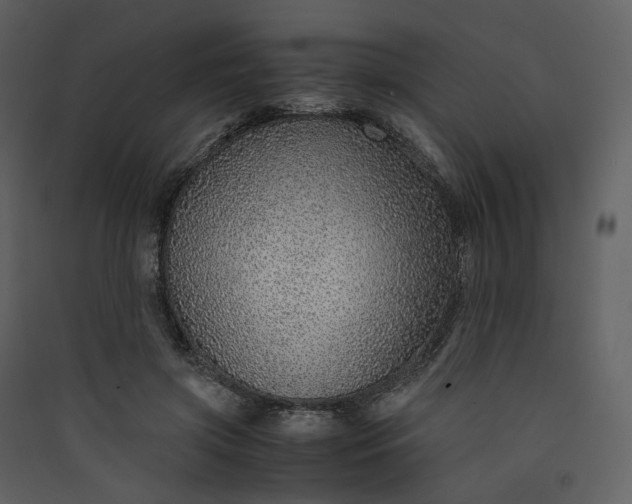 X0000089950549200707131518