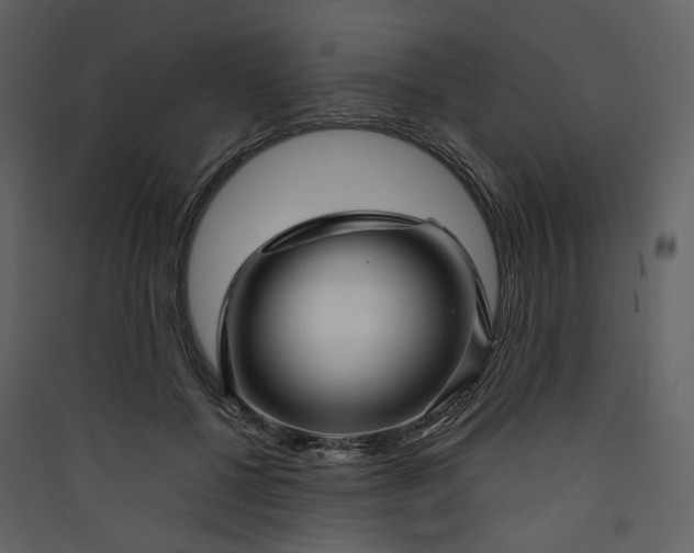 X0000089950552200707131518