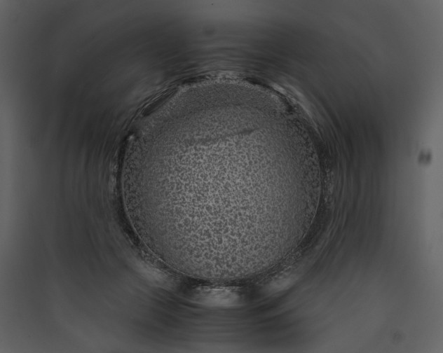 X0000089950553200707131518
