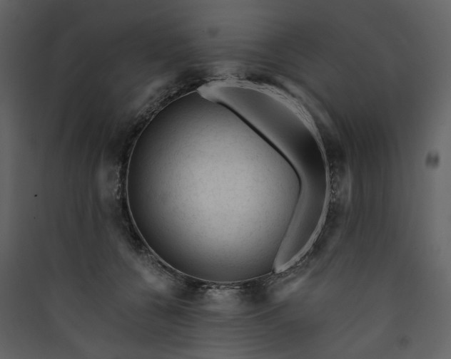 X0000089950560200707131518