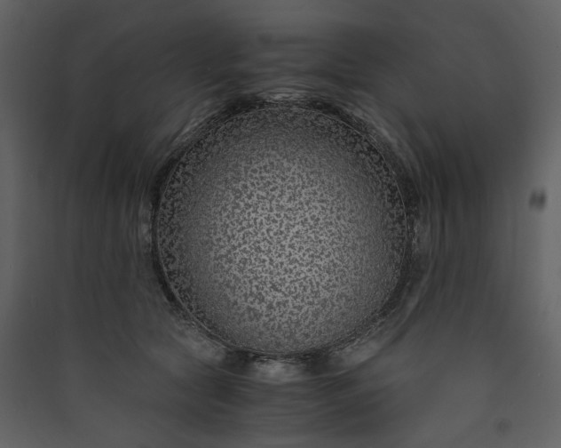 X0000089950561200707131518