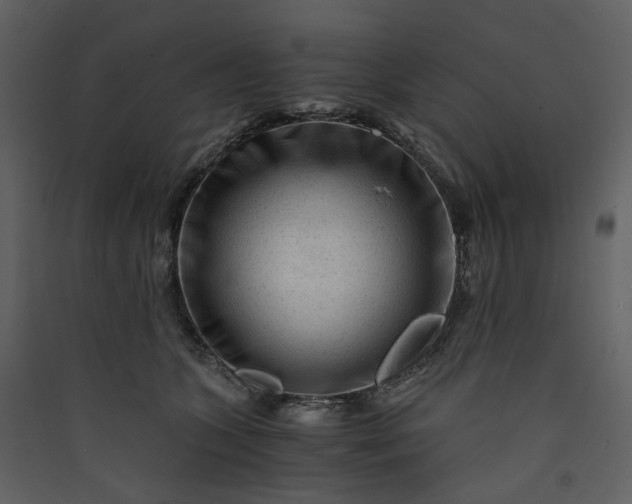X0000089950563200707131518