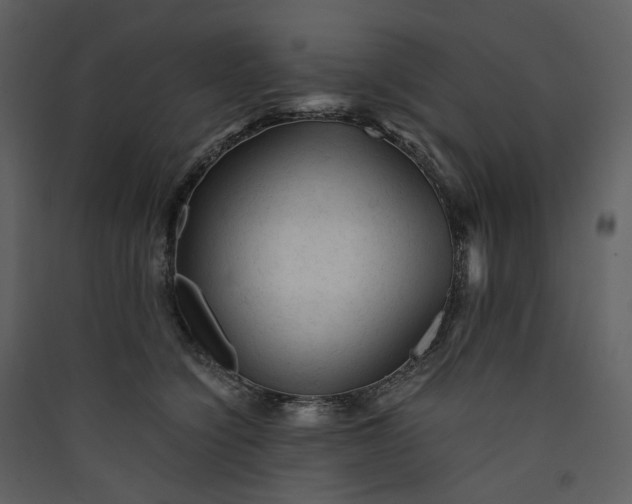 X0000089950564200707131518