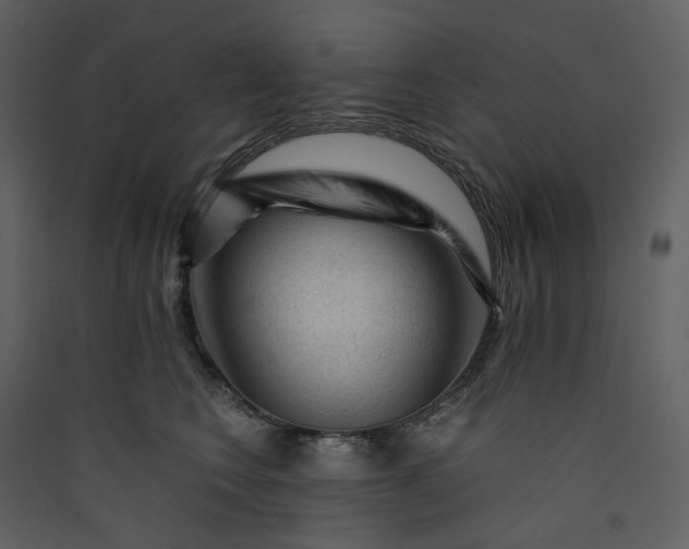 X0000089950566200707131518