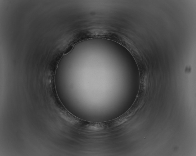X0000089950567200707131518