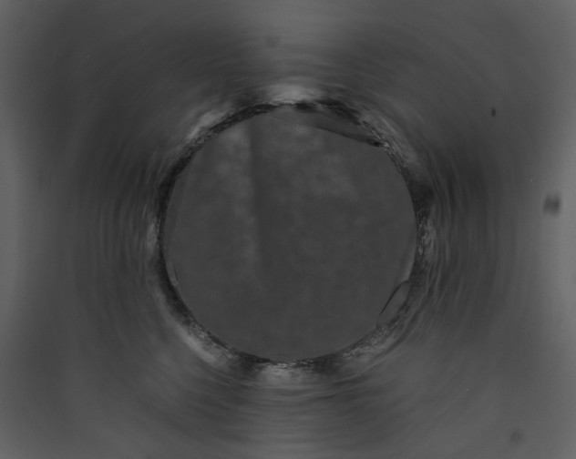 X0000089950568200707131518