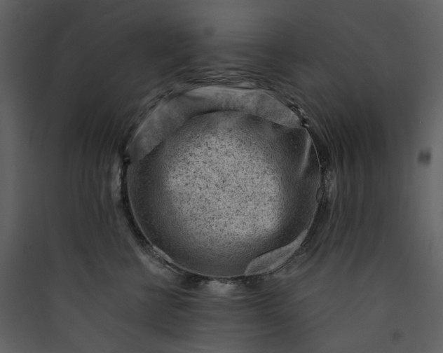X0000089950570200707131518