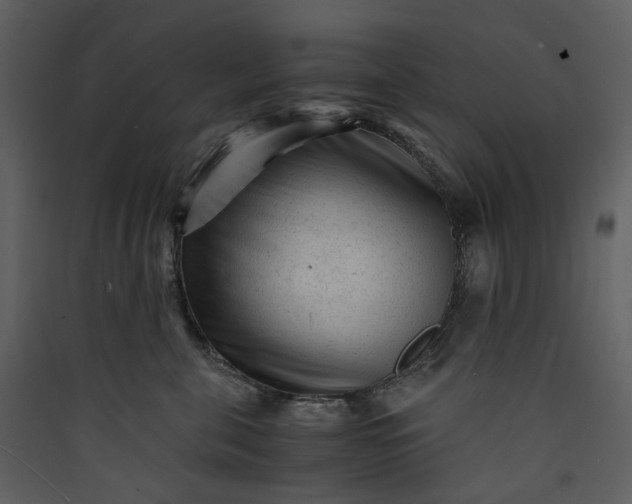 X0000089950571200707131518