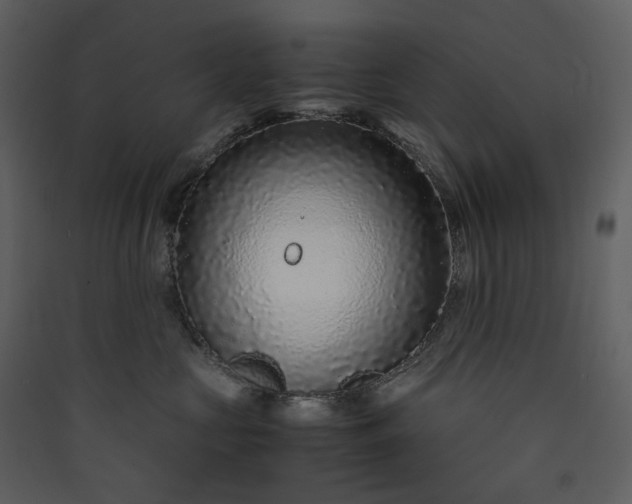 X0000089950573200707131518