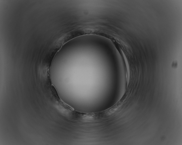 X0000089950574200707131518