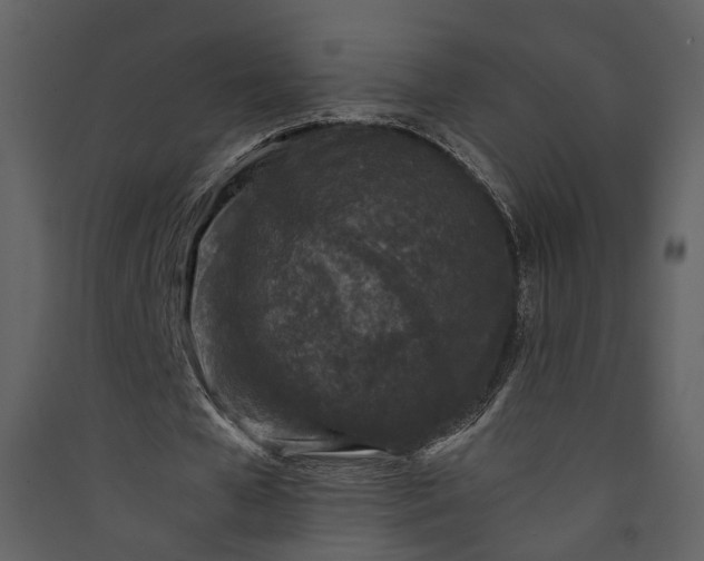 X0000089950577200707131517