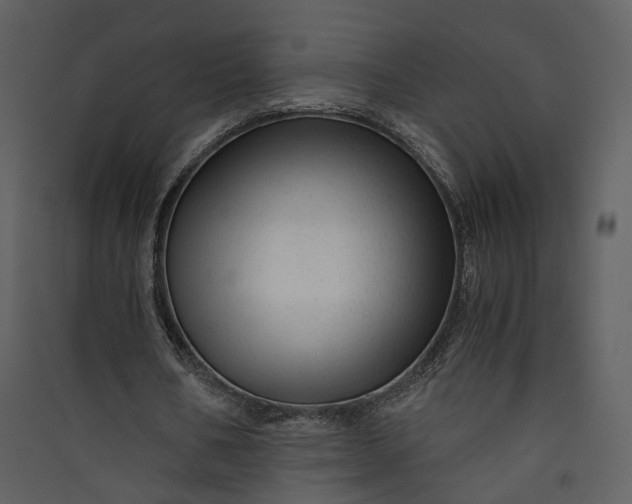 X0000089950578200707131517
