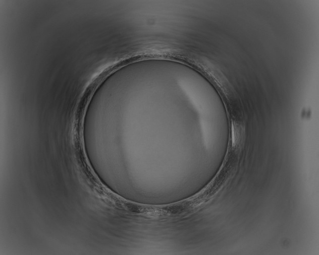 X0000089950579200707131517