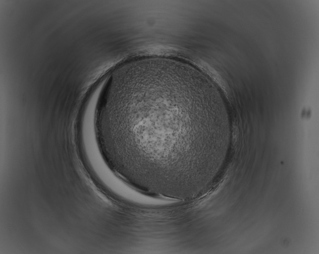 X0000089950581200707131517