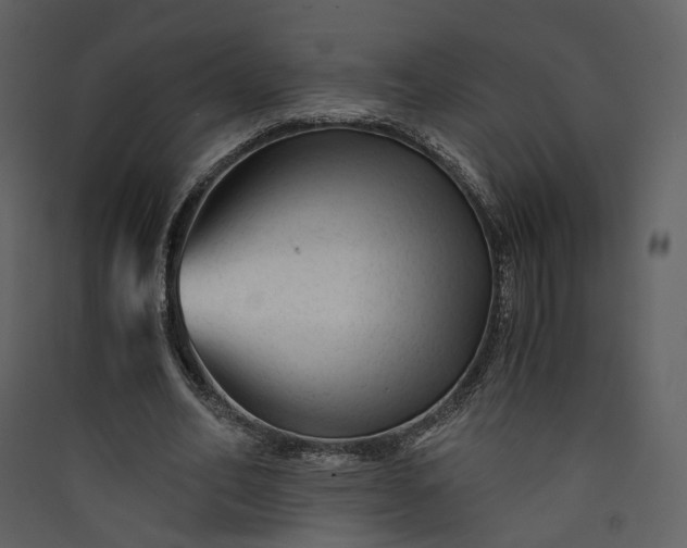 X0000089950582200707131517