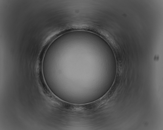 X0000089950583200707131517