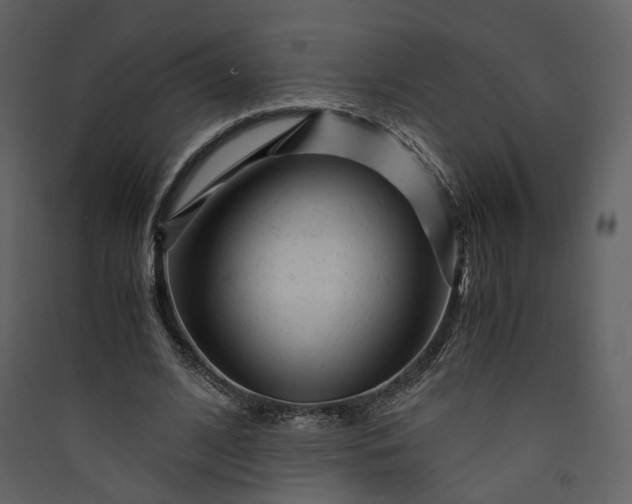 X0000089950584200707131517