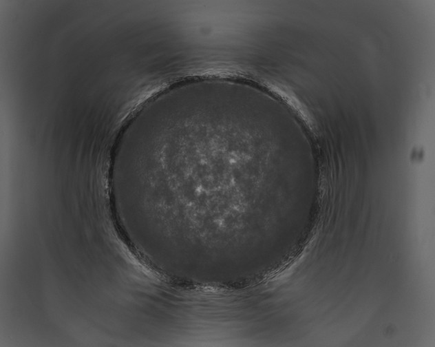 X0000089950585200707131517