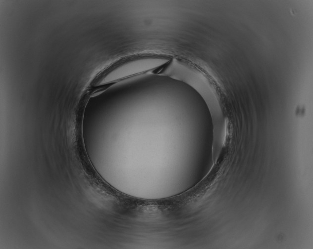 X0000089950588200707131517