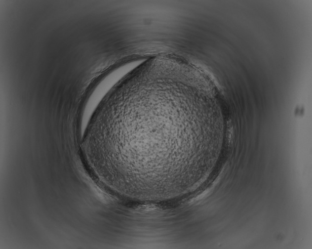 X0000089950589200707131517