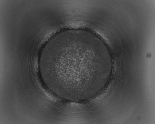 X0000089950590200707131517