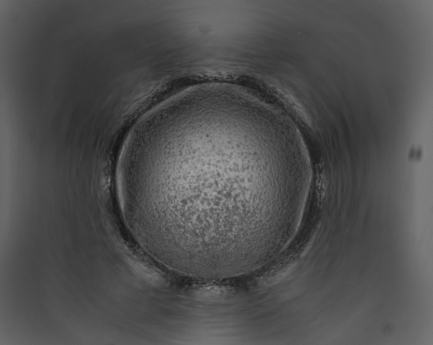 X0000089950593200707131517