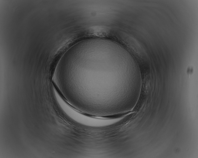 X0000089950595200707131517