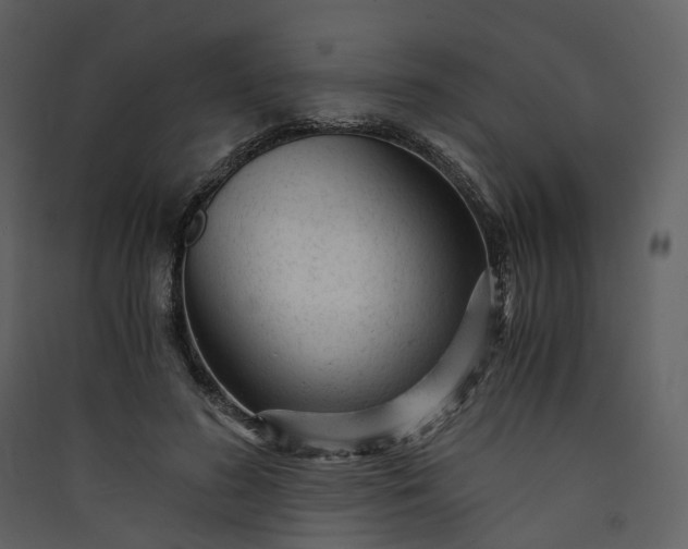 X0000089950596200707131517