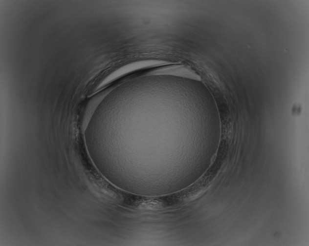 X0000089950599200707131517