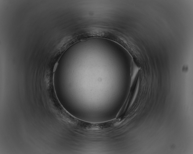 X0000089950600200707131517