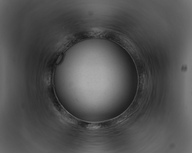 X0000089950602200707131517