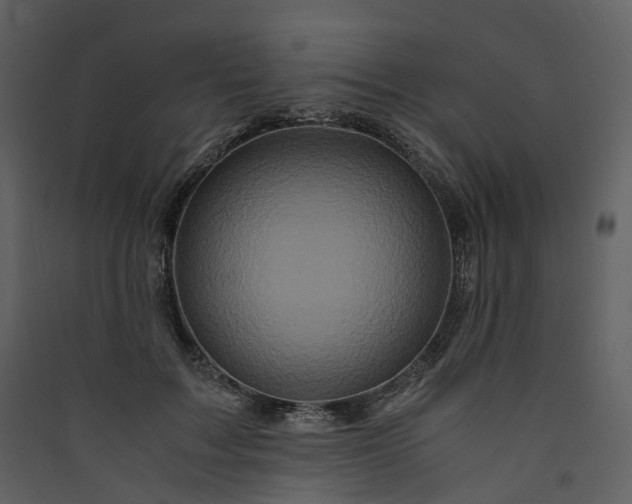 X0000089950603200707131517