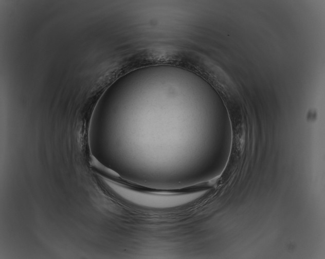 X0000089950605200707131517