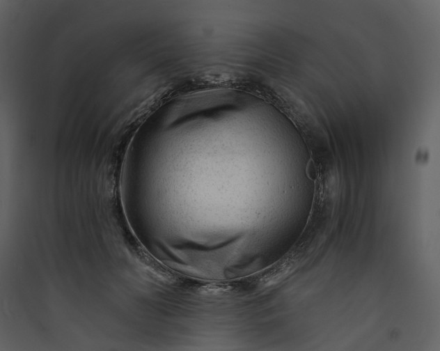 X0000089950606200707131517