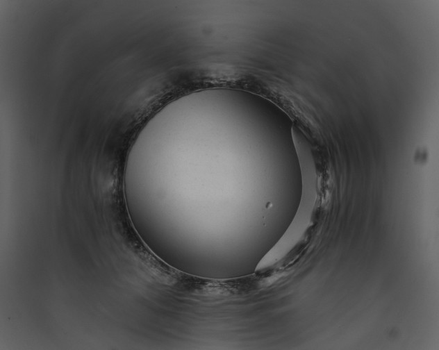 X0000089950608200707131517