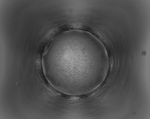 X0000089950609200707131517