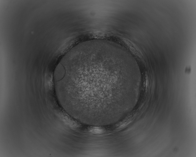 X0000089950610200707131517