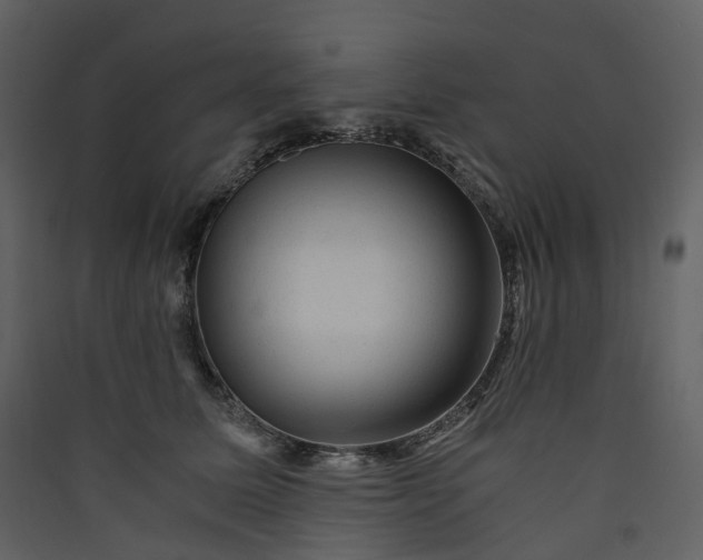 X0000089950611200707131517