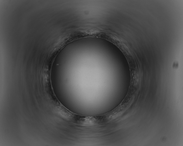X0000089950612200707131517