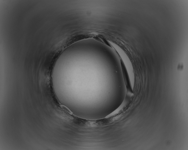 X0000089950613200707131517