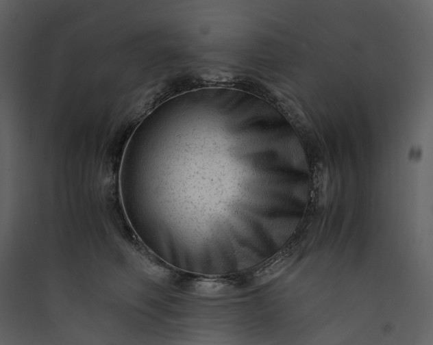 X0000089950614200707131517
