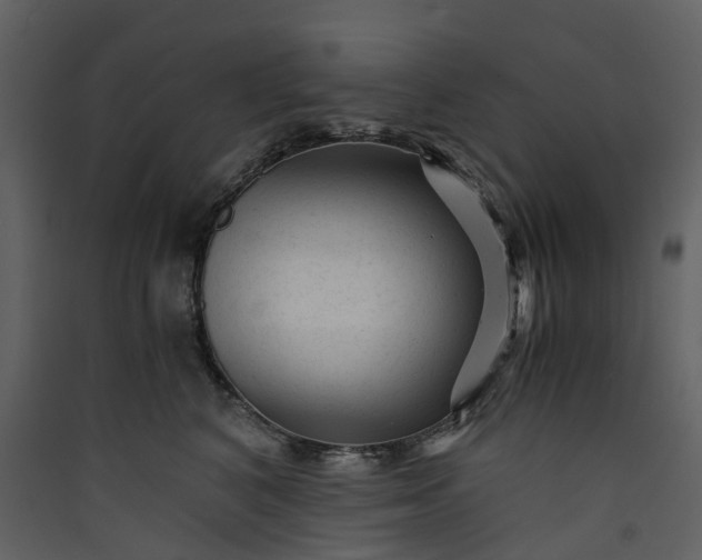 X0000089950616200707131517