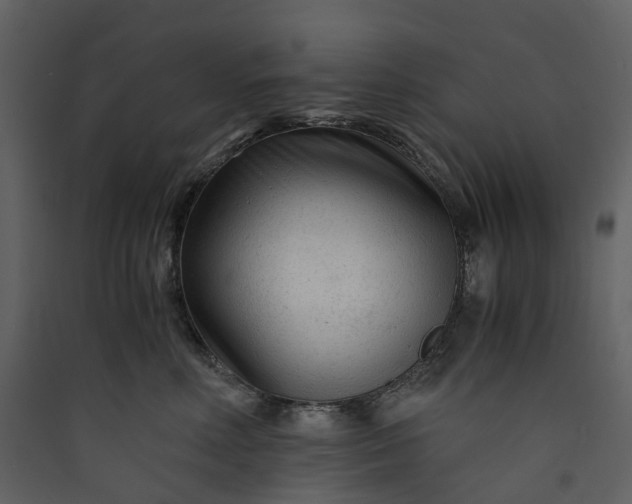 X0000089950618200707131517