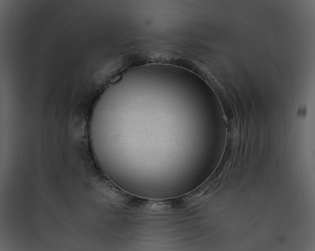X0000089950619200707131517