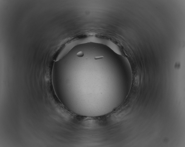 X0000089950620200707131517