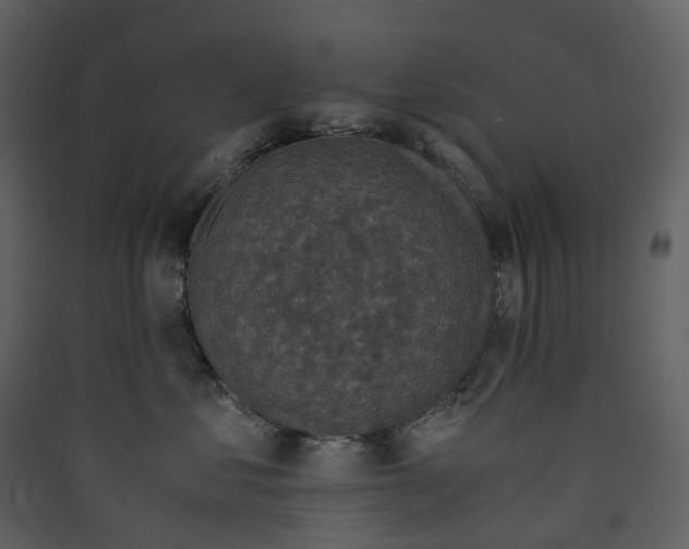 X0000089950621200707131517