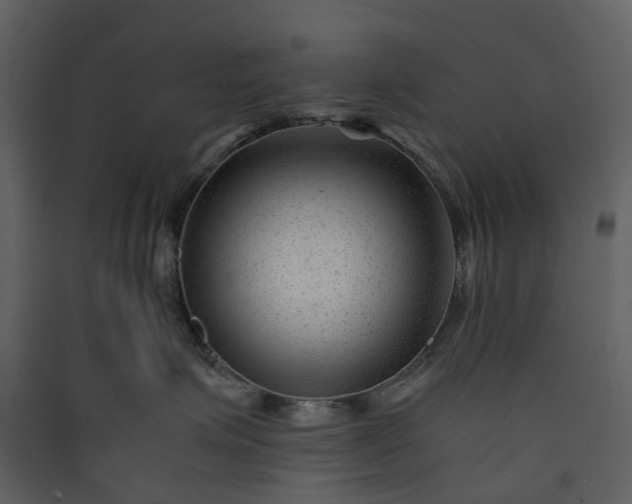 X0000089950623200707131517