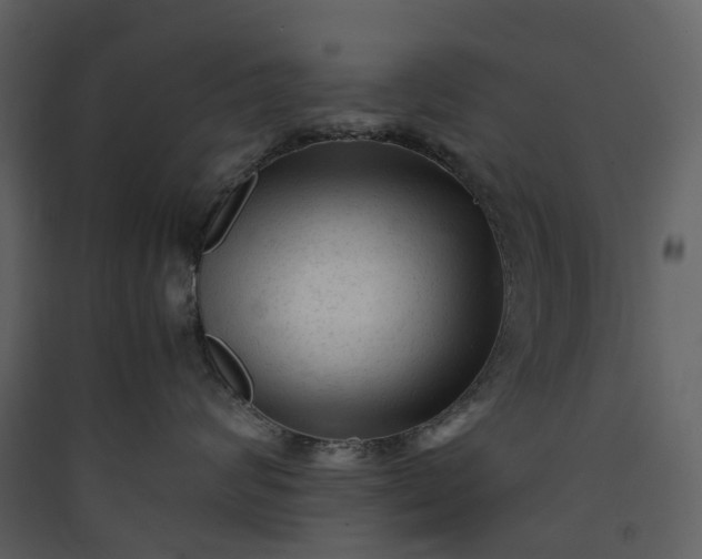 X0000089950624200707131517